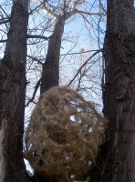 /album/fotogaleria/eco-ontogenesis-vista-2-jpg/